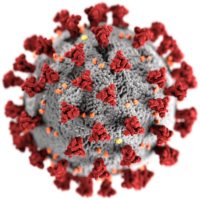 Corona_virus Corona_virus
